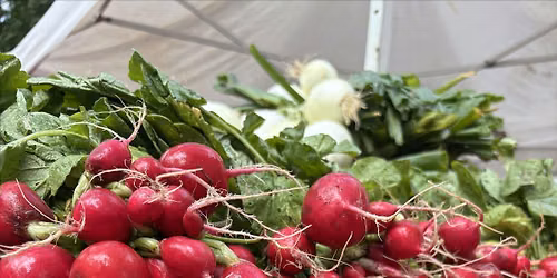 57th Street Greenmarket