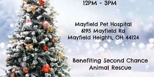 Holiday Pet Photos