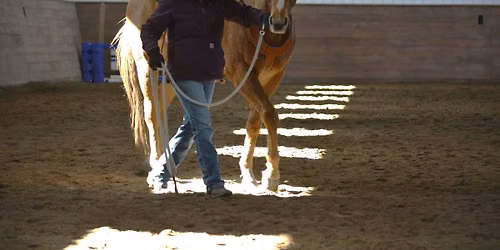 Empowering Women thru Horsemanship Workshops 2026