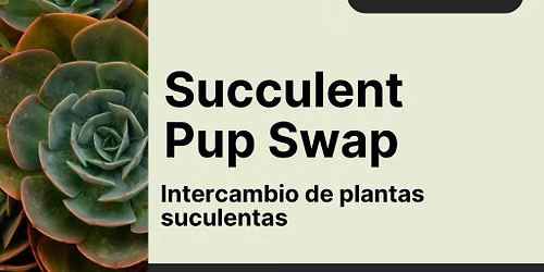 Succulent Pup Swap