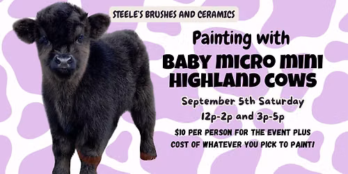Painting with Baby Micro Mini Highland Cows