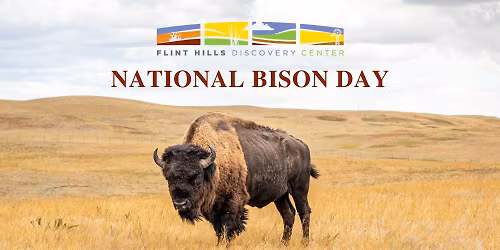 National Bison Day