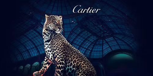 Asso PAZ CONTRE la CAPTIVITE et CONTRE l'exploitation des animaux dans l'industrie publicitaire.