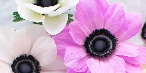 Cr\u00eape Paper Anemone Flowers with Jessie Chui