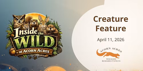 Creature Feature - Inside the Wild at Acorn Acres
