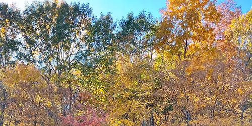 Leaf Peeping Paddle along Lake Housatonic