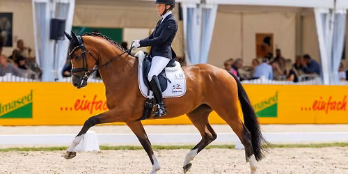 Dressage World Breeding Championship for Young Horses 2026, SUN 09.08.