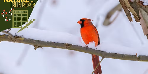 Nature Bingo!