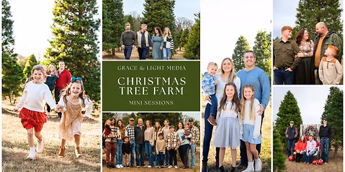 Christmas Tree Farm Mini Sessions | Lollis Tree Farm 