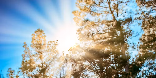 Mama V @ Daniel Boone\u2019s