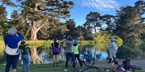 Birds & Bikes at Kite by the Bay