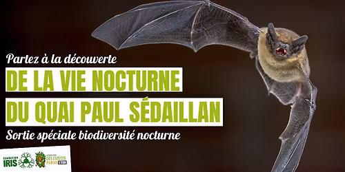 \u00c0 la d\u00e9couverte de la vie noctune du Quai Paul S\u00e9daillan