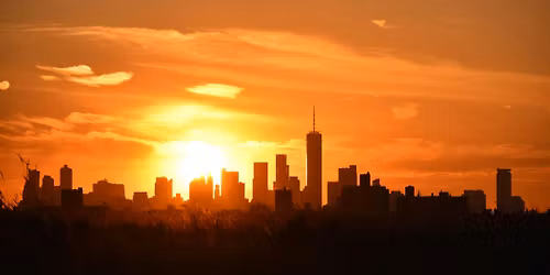 Black Birders Week: Sunset Birding with NYC Bird Alliance