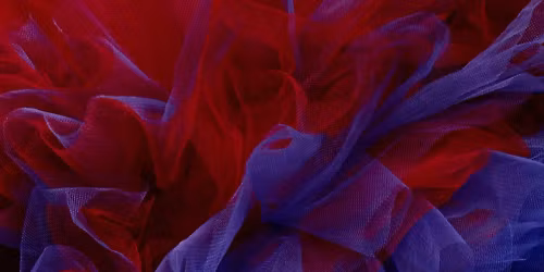 Roberta S\u00e1 in S\u00e3o Paulo