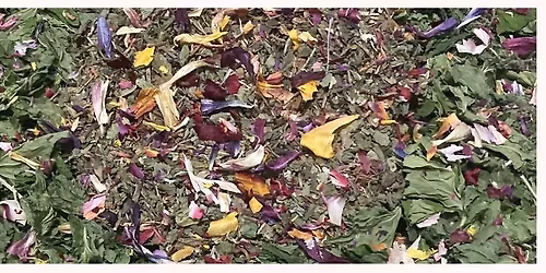 SpringTime Herbal Tea Blending Workshop