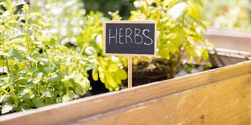 Garden Class: Herbs