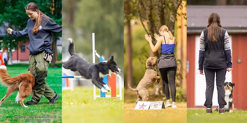 Junior NM 2026- Uoff. stevne i agility, LP, rally & kreativ lydighet