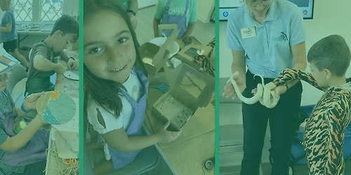 Wildlife Week Summer Camp for Ages 6-11