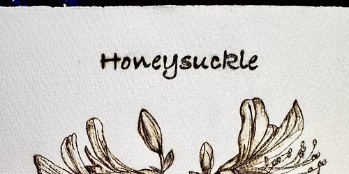 Pyrography Honeysuckle on paper