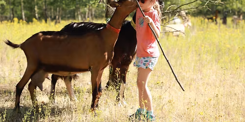 RENCARD | Rando-Biquette