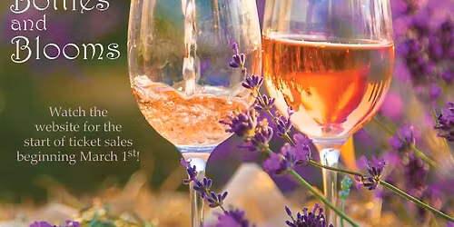 Maryland Wine Festival