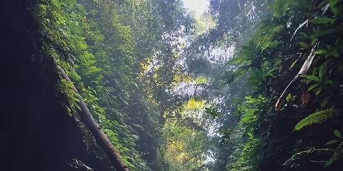 \u0986\u09a8\u09cd\u09a7\u09be\u09b0 \u09b0\u09be\u099c\u09cd\u09af\u09c7 \u09b9\u09be\u09a8\u09cd\u099f\u09be\u09b0 \u0985\u09ad\u09bf\u09af\u09be\u09a4\u09cd\u09b0\u09be, \u09b9\u09c7\u09ae\u09a8\u09cd\u09a4\u09c7\u09b0 \u09aa\u09be\u09b9\u09be\u09dc\u09c7- Green Retreat\ud83d\udca5