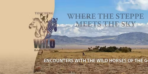 Where the Steppe Meets the Sky