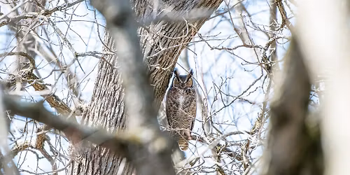 Birding Brandywine Park