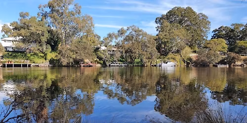 Come and Try Shenanigans