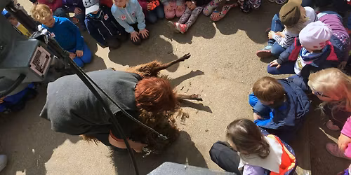 Saueklipping - en opplevelse for hele familien