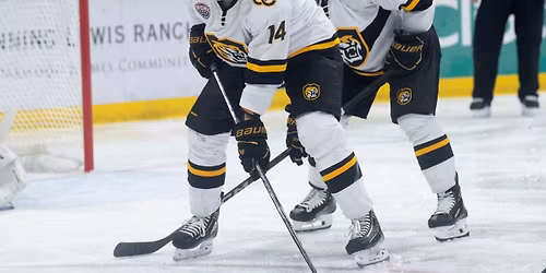 Minnesota Duluth Bulldogs vs. Colorado College Tigers