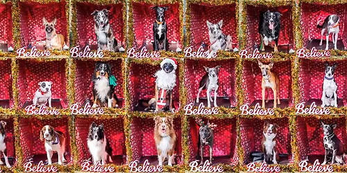 Ugly Christmas Sweater Party