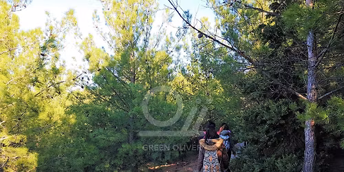 \u039a\u03a5\u03a1. 14\/12: \u039a\u03a5\u03a1\u0399\u0391\u039a\u0391\u03a4\u0399\u039a\u0397 \u03a0\u0395\u0396\u039f\u03a0\u039f\u03a1\u0399\u0391 \u03a3\u03a4\u039f \u03a3\u0395\u0399\u03a7 \u03a3\u039f\u03a5!