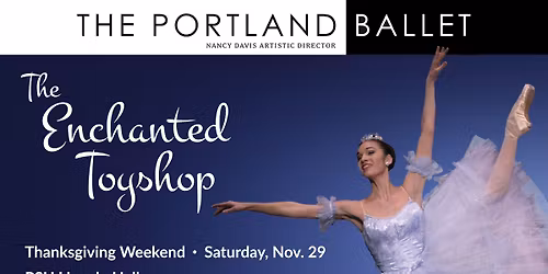 The Enchanted Toyshop