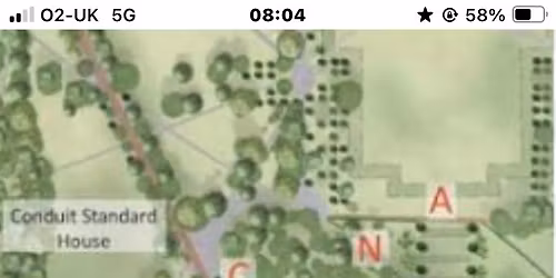 Spring Equinox Picnic