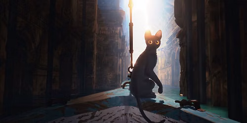 FLOW \u2013 WIE DIE KATZE IHRE ANGST VOR DEM WASSER VERLOR