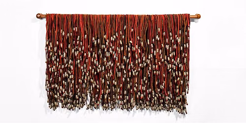 Curatorial Tour: Olga de Amaral