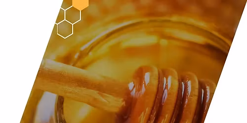 Golden Drops of Cyprus \u2013 Organic Honey Tasting