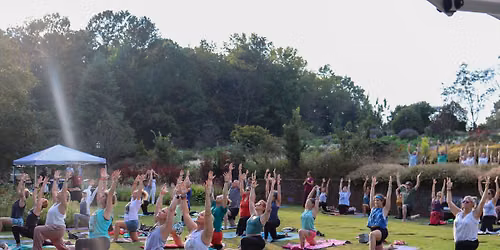 108 Sun Salutations Yoga Celebration