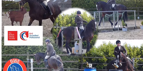 Working Equitation: full EOH course
