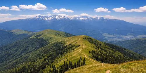 \u2618\ufe0f Drume\u021bie 100 de lei \u00een Mun\u021bii Baiului