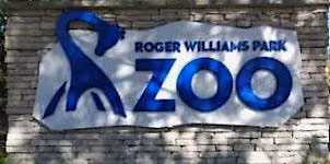 Family Adventure: Roger Williams Zoo Wild Quest