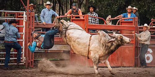 Opening Night & Elaine Walker Tribute Rodeo