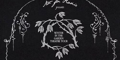 Not For Radio at Paramount Theatre Seattle