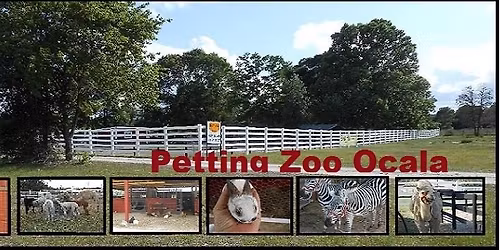 Ocala Petting Zoo