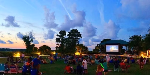 MOVIE NIGHTS IN THE PARK