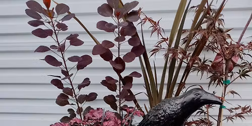 Goth Garden Walk