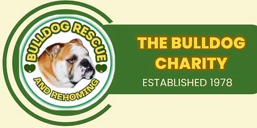 Santa Paws is coming to Bulldog Rescue!