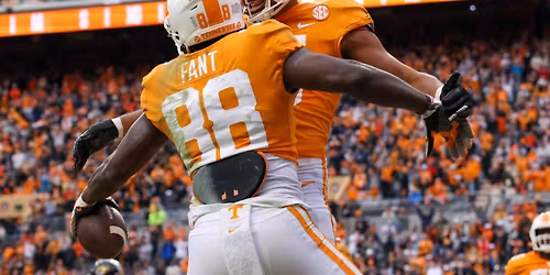 Tennessee Volunteers vs. Furman Paladins