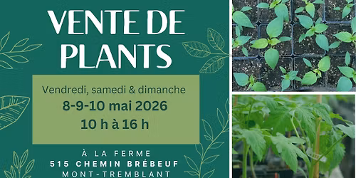 Vente annuelle de plants bio!